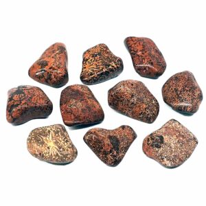 Jasper star tumbled stone