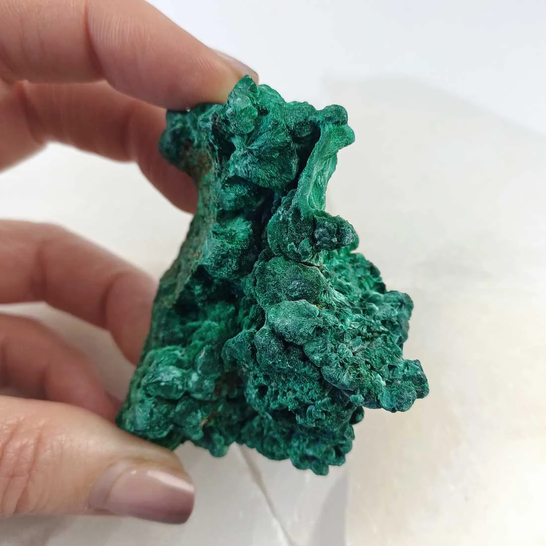 Fibrous malachite crystal from Congo with rich green banding, formed in copper-rich environments and valued for its natural structure and mineral composition.