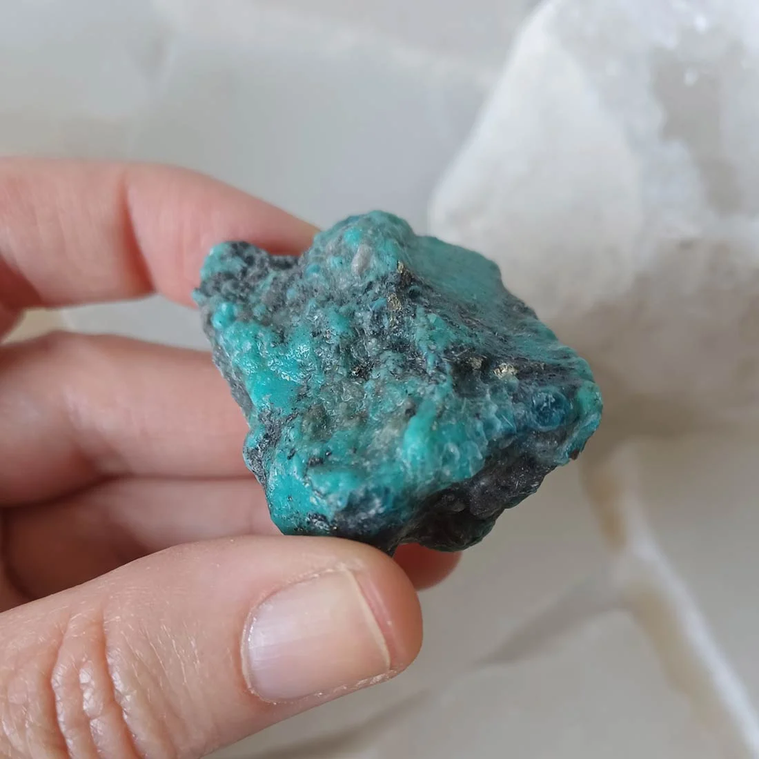 Rough Turquoise from Mexico with natural blue-green colouring and visible mineral matrix