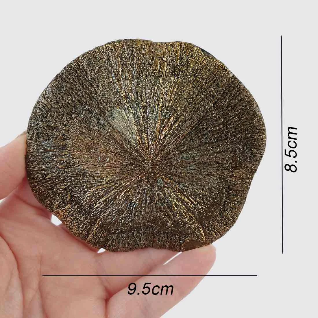 pyrite sun
