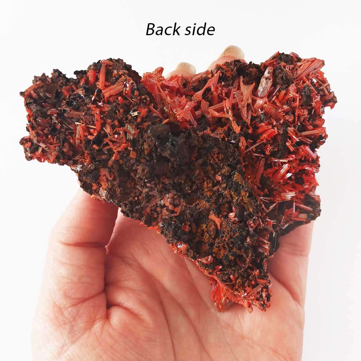 Rare Crocoite from Adelaide