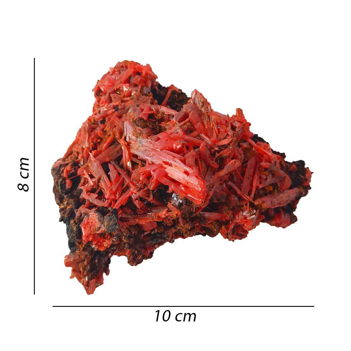 Rare Crocoite from Adelaide Mines - Image 3