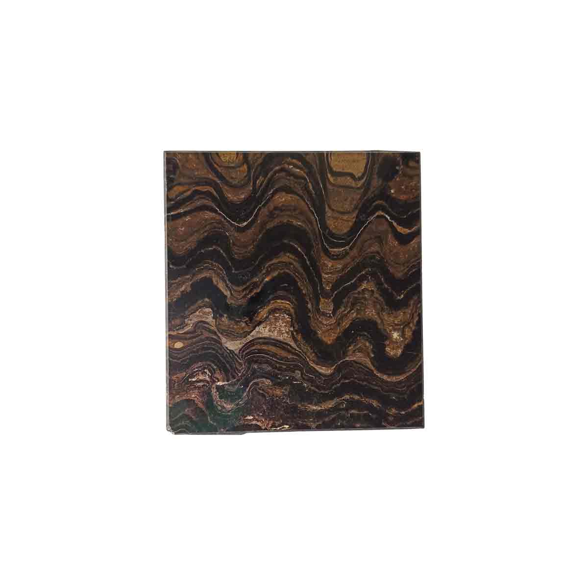 Stromatolite Plaque 7 x 6.5 cm