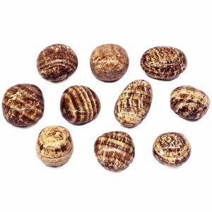 jasper walnut
