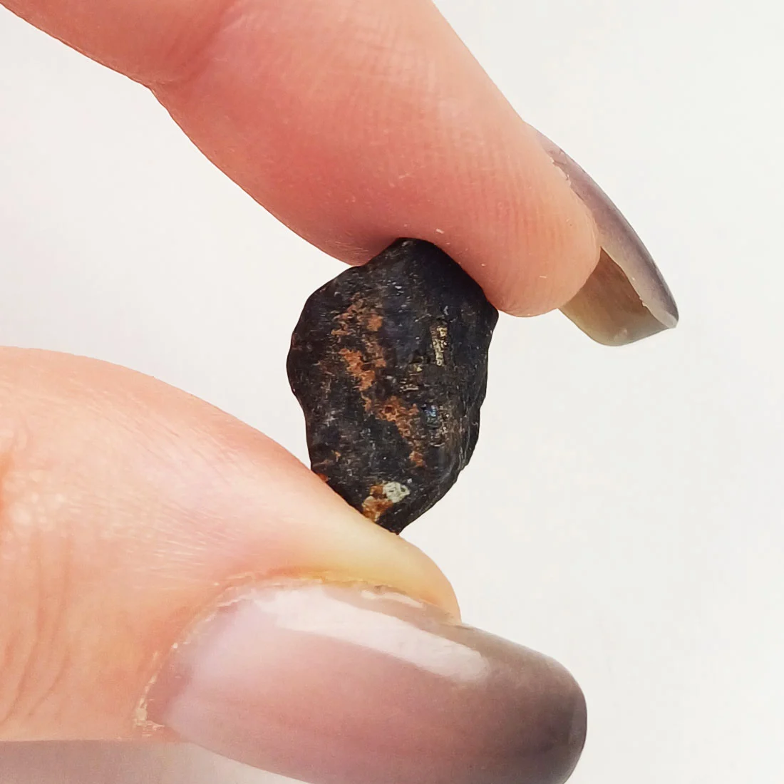 holbrook meteorite