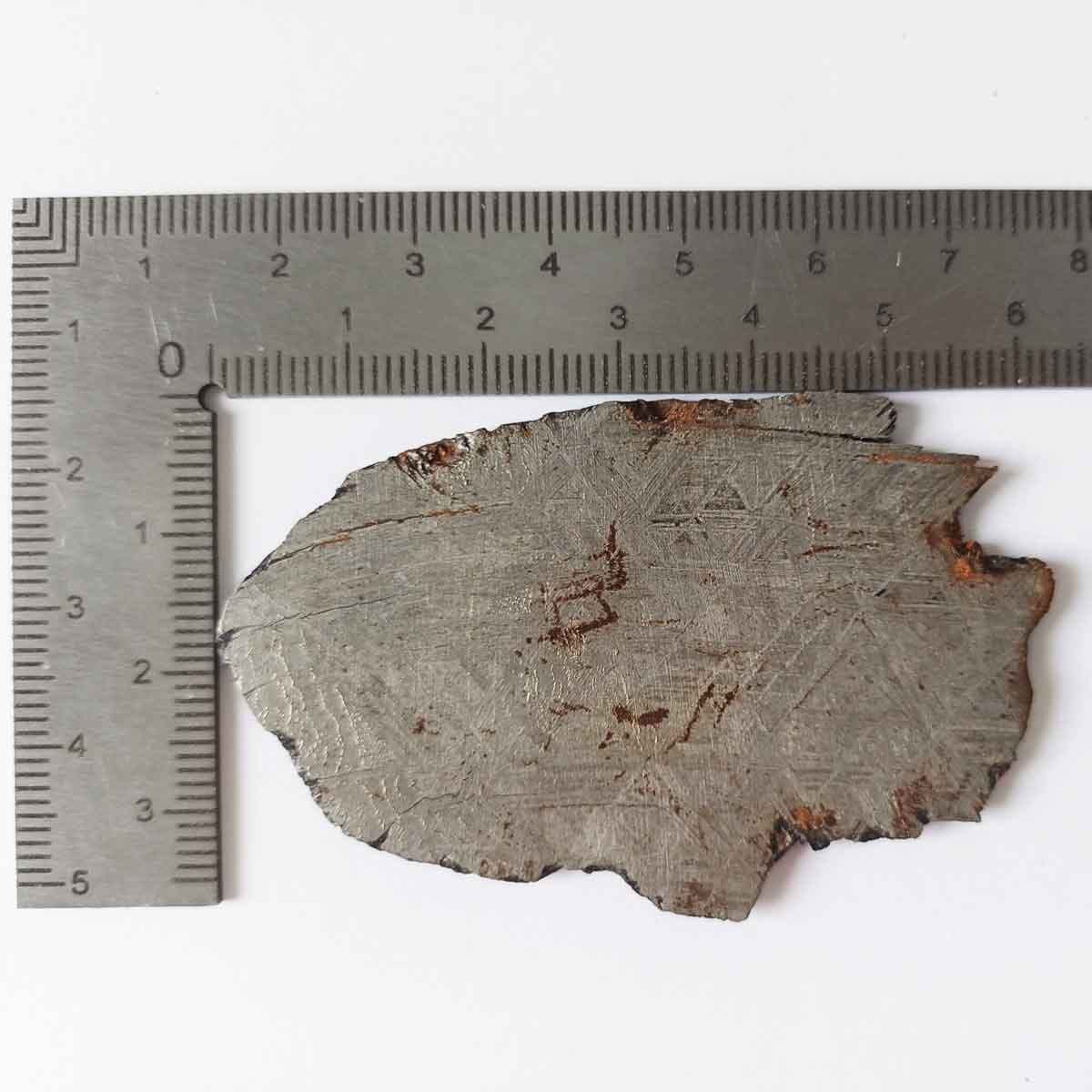Meteorite Slice- Muonionalusta, Sweden - Image 2