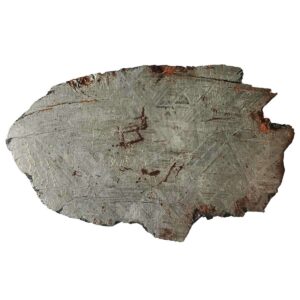 Meteorite Slice- Muonionalusta, Sweden