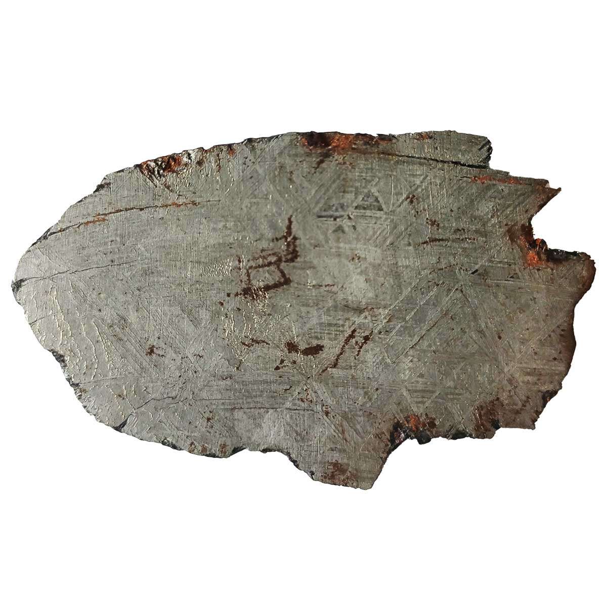 Meteorite Slice- Muonionalusta, Sweden