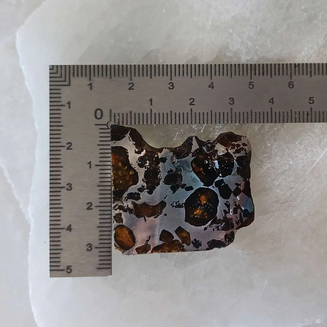 Seymchan Pallasite meteorite from Russia with visible natural olivine inclusions in a nickel-iron matrix.