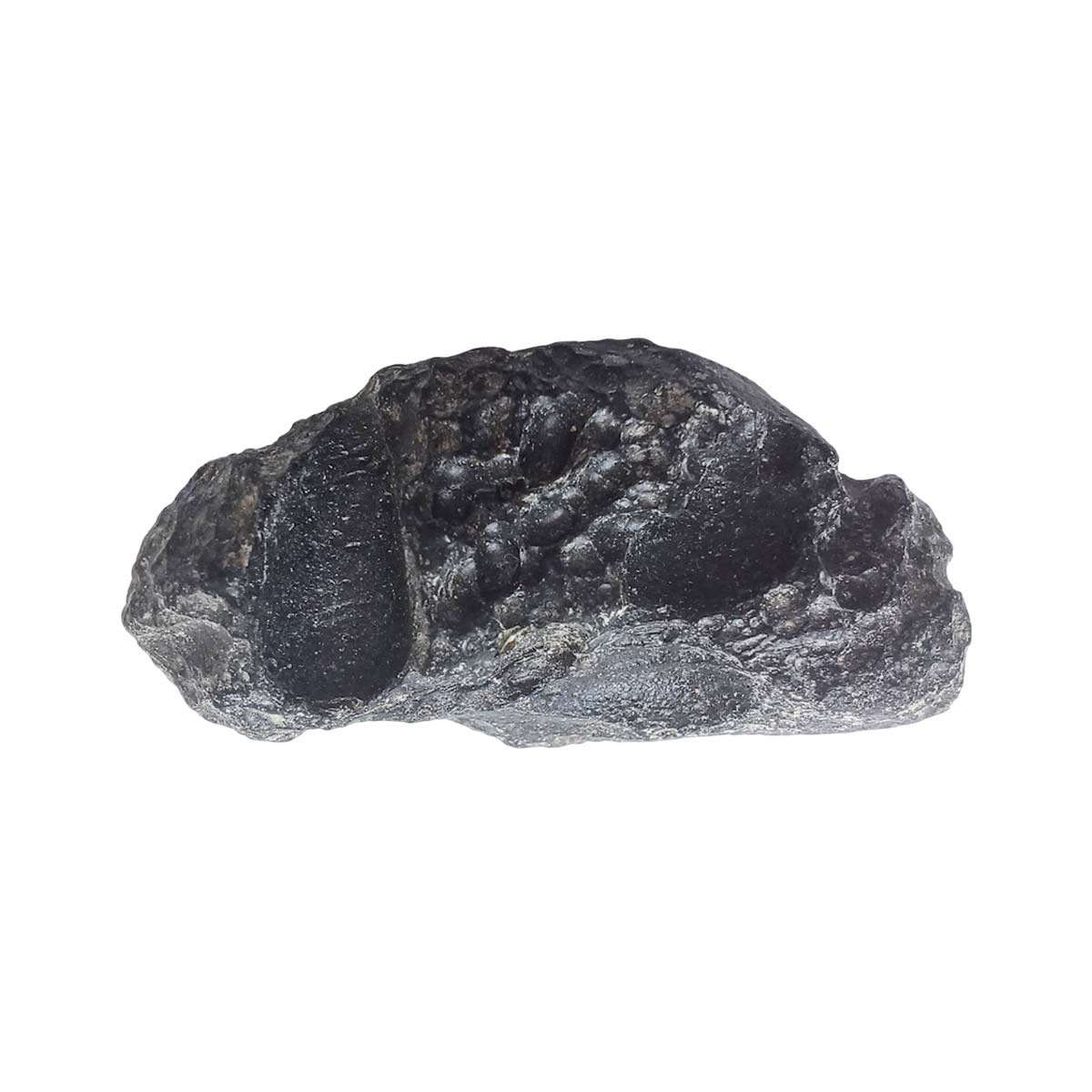 Tibetan Tektite stone - meteorite impact glass