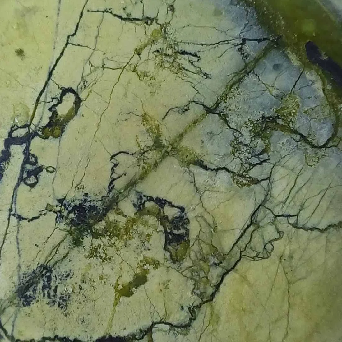 Polished Serpentine closeup