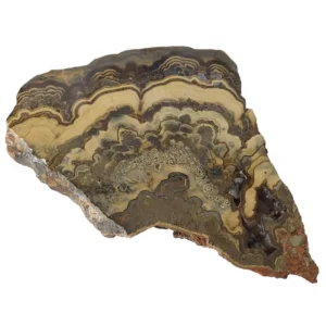 Spherule Slice – Concentric Iron Oxide Patterns