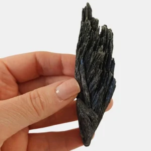 Black Kyanite cluster