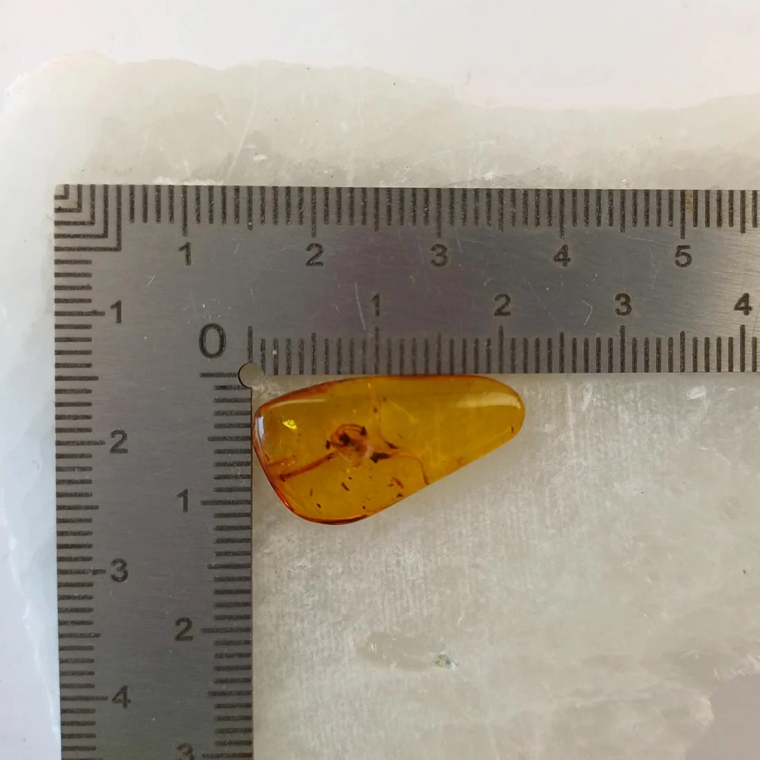 Amber fossil with insect inclusion showing preserved prehistoric insect inside golden resin