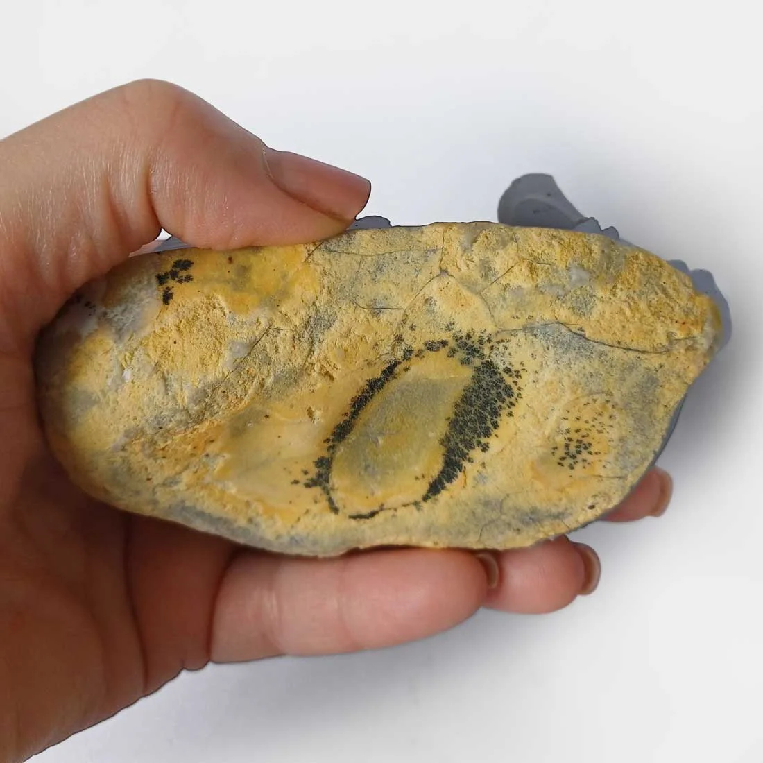 Chalcedony Resting Dog carving with smooth polished natural stone surface and soft mineral tones