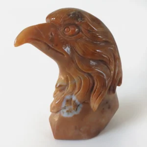 Hand carved Carnelian Eagle Head crystal carving with natural orange and brown patterns