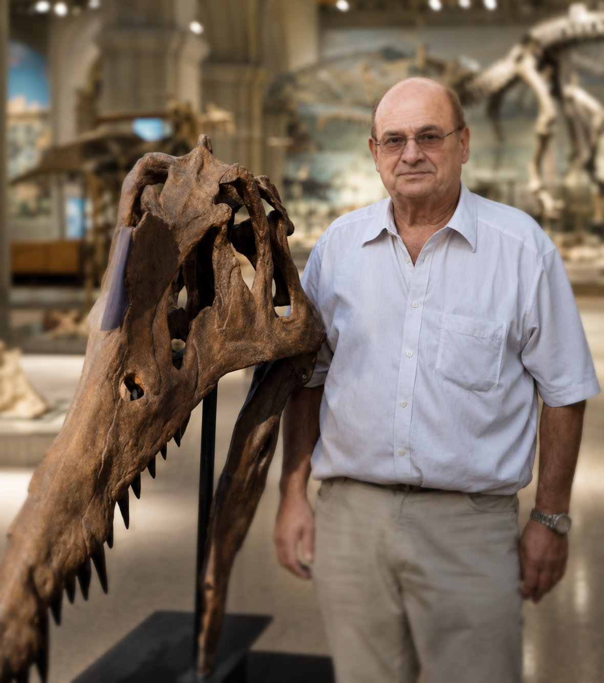 The Prehistoric Treasures family heritage