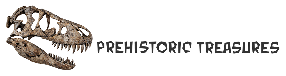 Prehistoric Treasures